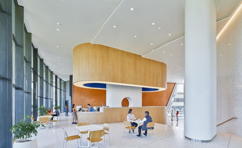 Experimentation, Learning, and Evolution in Architectural Design: Get to Know WORKac  - Image 5 of 11