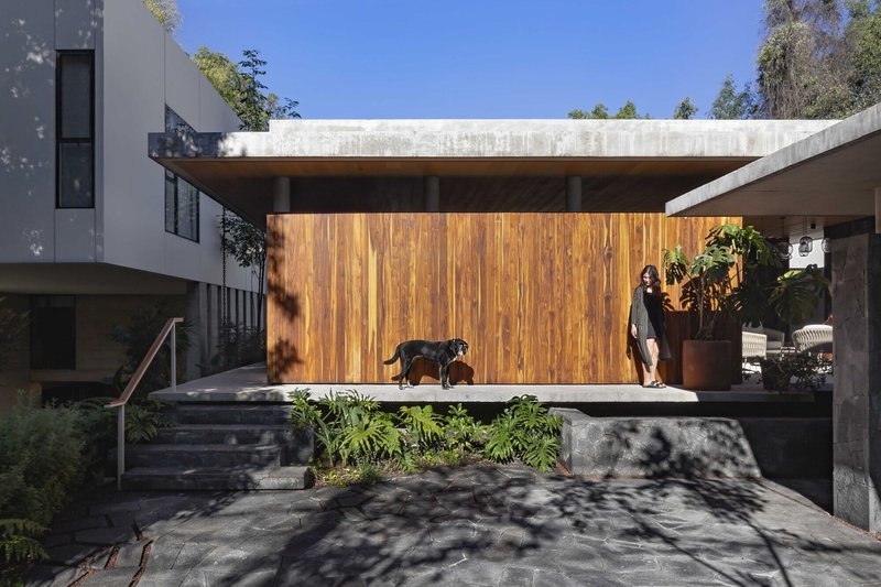 Hummingbird House / Estudio Libre MX - Exterior Photography