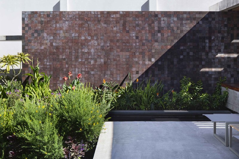 Hummingbird House / Estudio Libre MX - Image 2 of 12