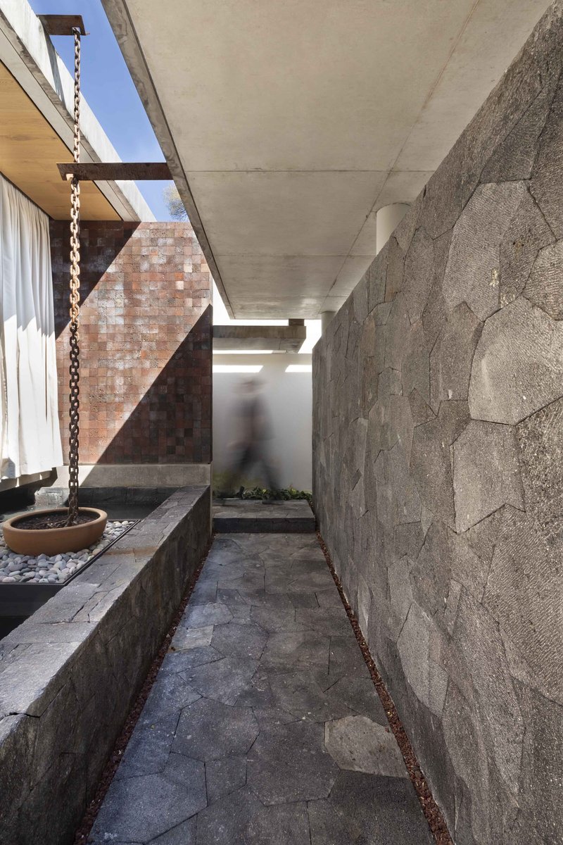 Hummingbird House / Estudio Libre MX - Image 8 of 12